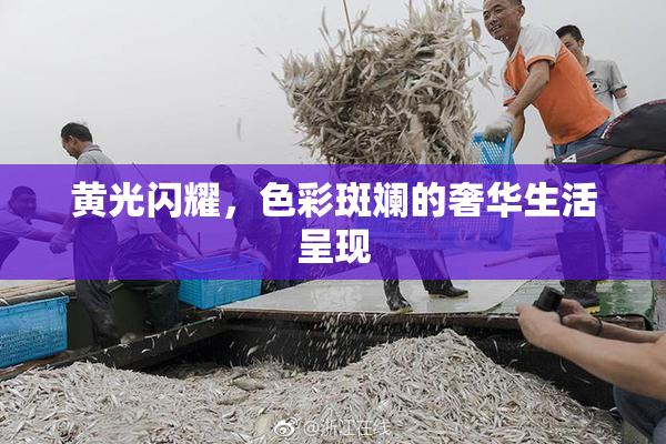 黄光闪耀，色彩斑斓的奢华生活呈现