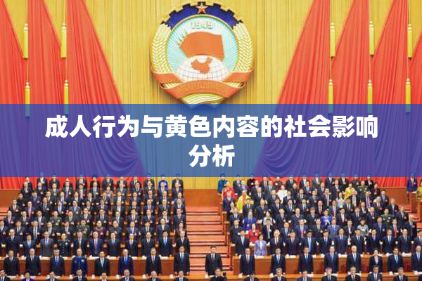 成人行为与黄色内容的社会影响分析