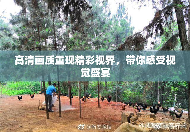 高清画质重现精彩视界，带你感受视觉盛宴