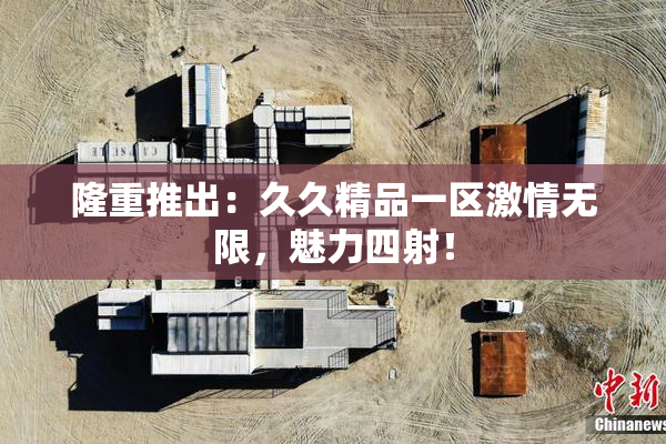 隆重推出：久久精品一区激情无限，魅力四射！