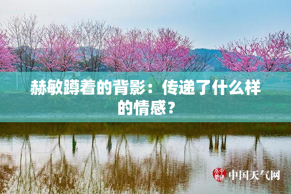 赫敏蹲着的背影：传递了什么样的情感？