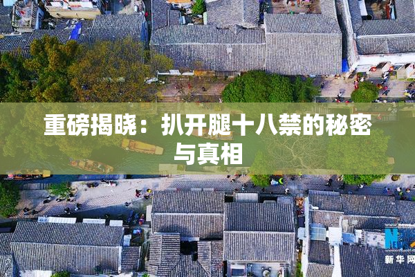 重磅揭晓：扒开腿十八禁的秘密与真相