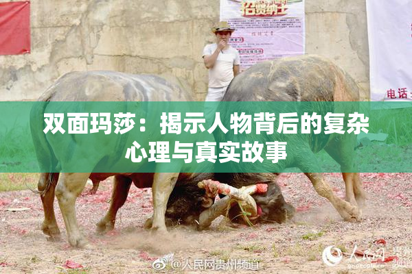 双面玛莎：揭示人物背后的复杂心理与真实故事