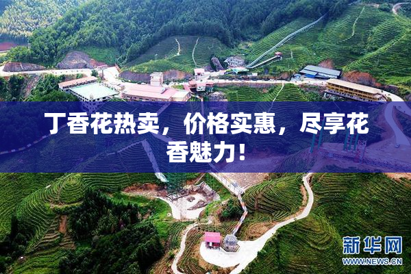 丁香花热卖，价格实惠，尽享花香魅力！