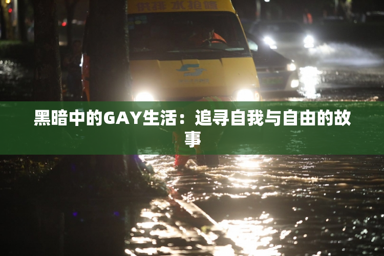 黑暗中的GAY生活：追寻自我与自由的故事