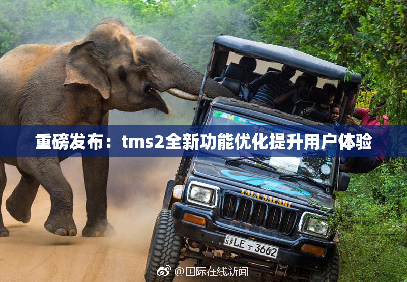 重磅发布：tms2全新功能优化提升用户体验