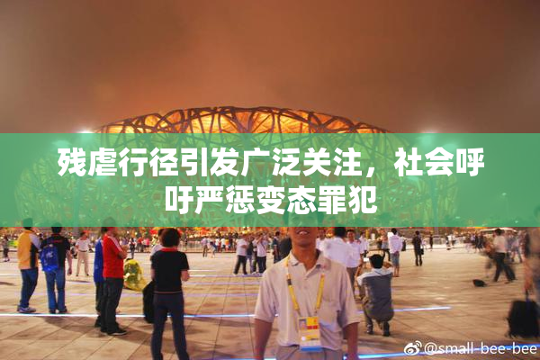 残虐行径引发广泛关注，社会呼吁严惩变态罪犯