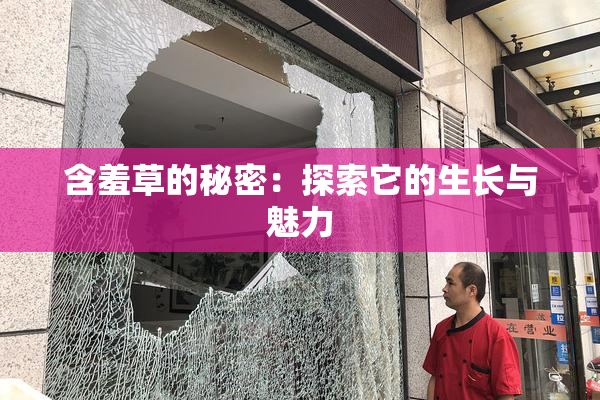 含羞草的秘密：探索它的生长与魅力