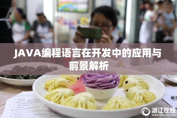 JAVA编程语言在开发中的应用与前景解析