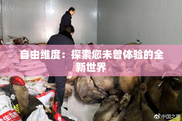 自由维度：探索您未曾体验的全新世界
