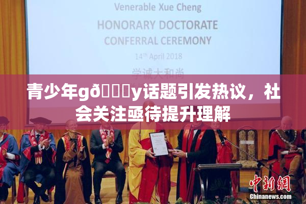 青少年g🈚y话题引发热议，社会关注亟待提升理解