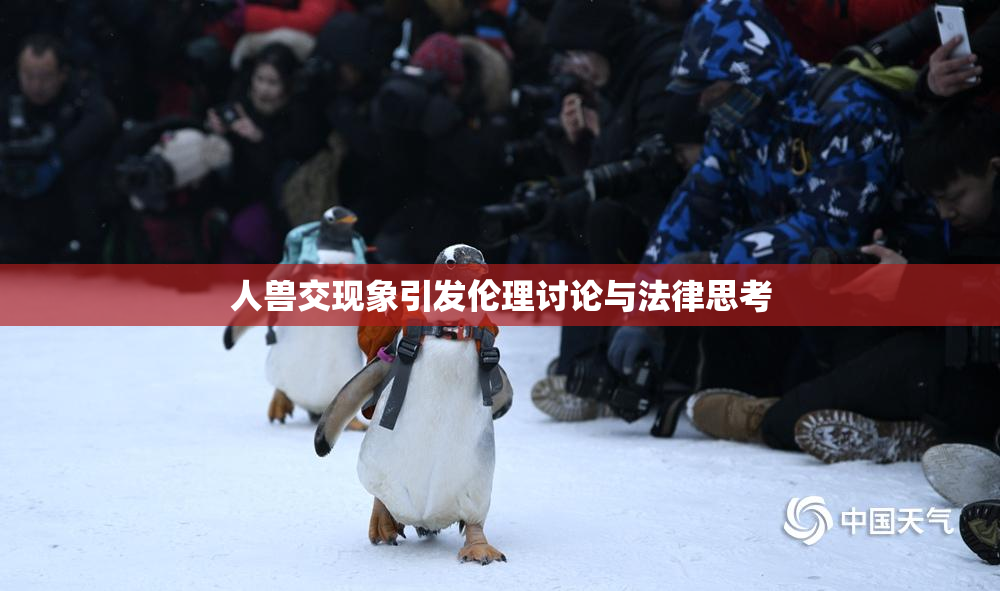 人兽交现象引发伦理讨论与法律思考