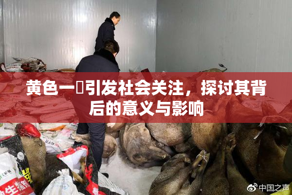 黄色一級引发社会关注，探讨其背后的意义与影响