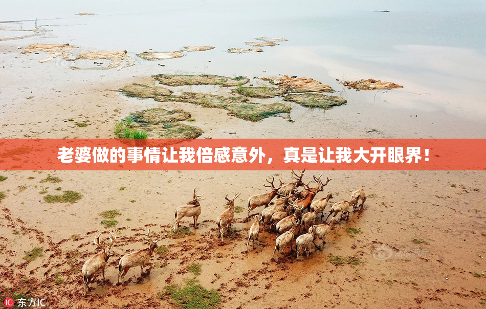老婆做的事情让我倍感意外，真是让我大开眼界！