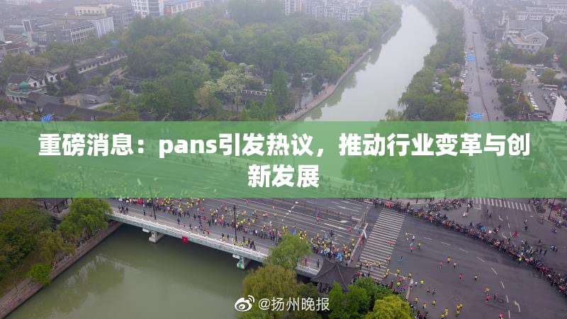 重磅消息：pans引发热议，推动行业变革与创新发展