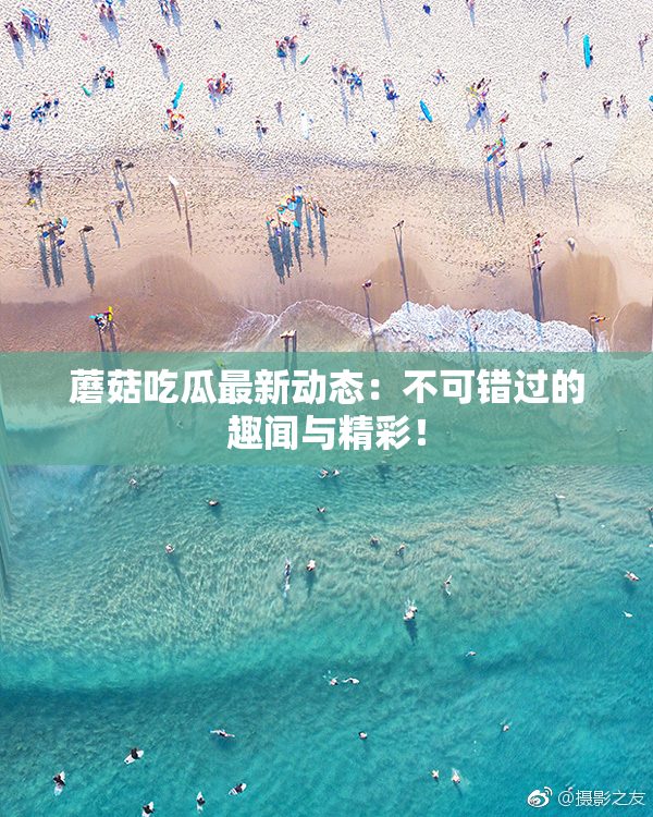 蘑菇吃瓜最新动态：不可错过的趣闻与精彩！