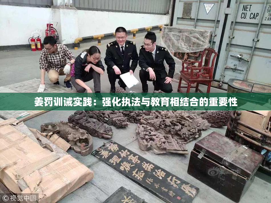 姜罚训诫实践：强化执法与教育相结合的重要性