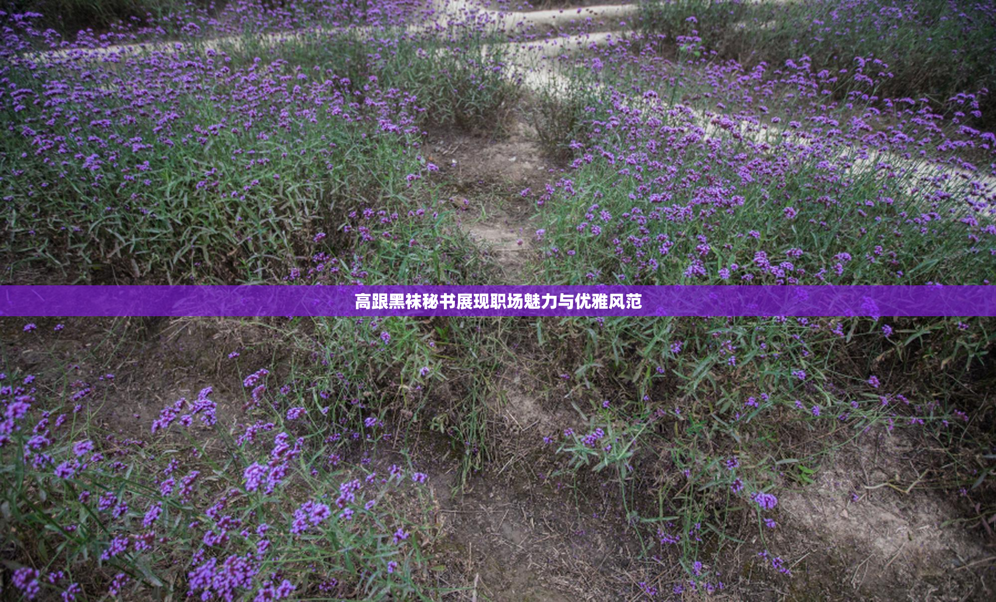 高跟黑袜秘书展现职场魅力与优雅风范