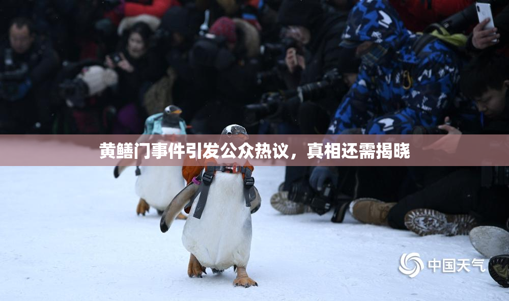 黄鳝门事件引发公众热议，真相还需揭晓