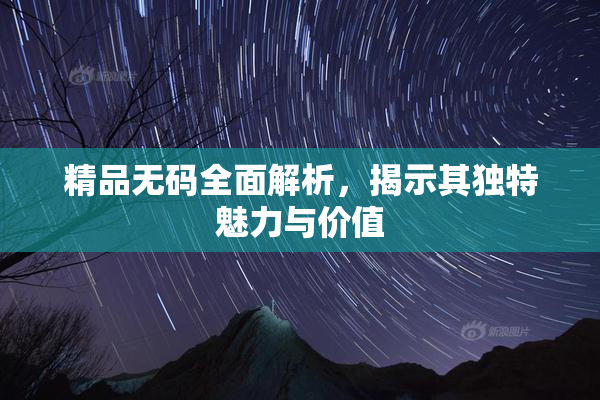 精品无码全面解析，揭示其独特魅力与价值