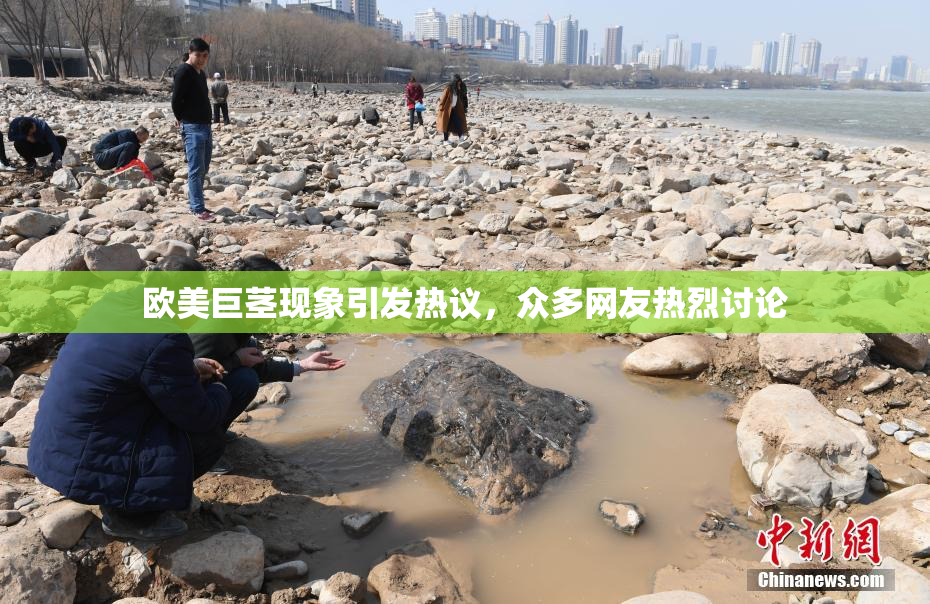 欧美巨茎现象引发热议，众多网友热烈讨论
