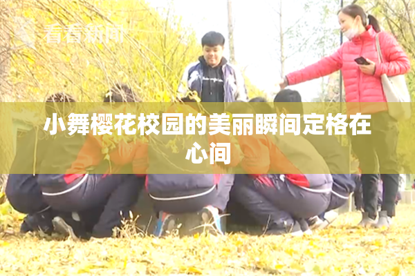 小舞樱花校园的美丽瞬间定格在心间