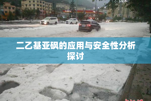 二乙基亚砜的应用与安全性分析探讨