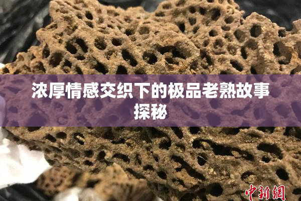 浓厚情感交织下的极品老熟故事探秘