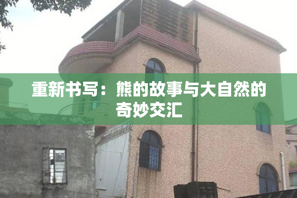 重新书写：熊的故事与大自然的奇妙交汇