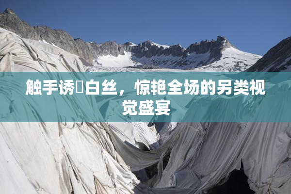 触手诱奷白丝，惊艳全场的另类视觉盛宴