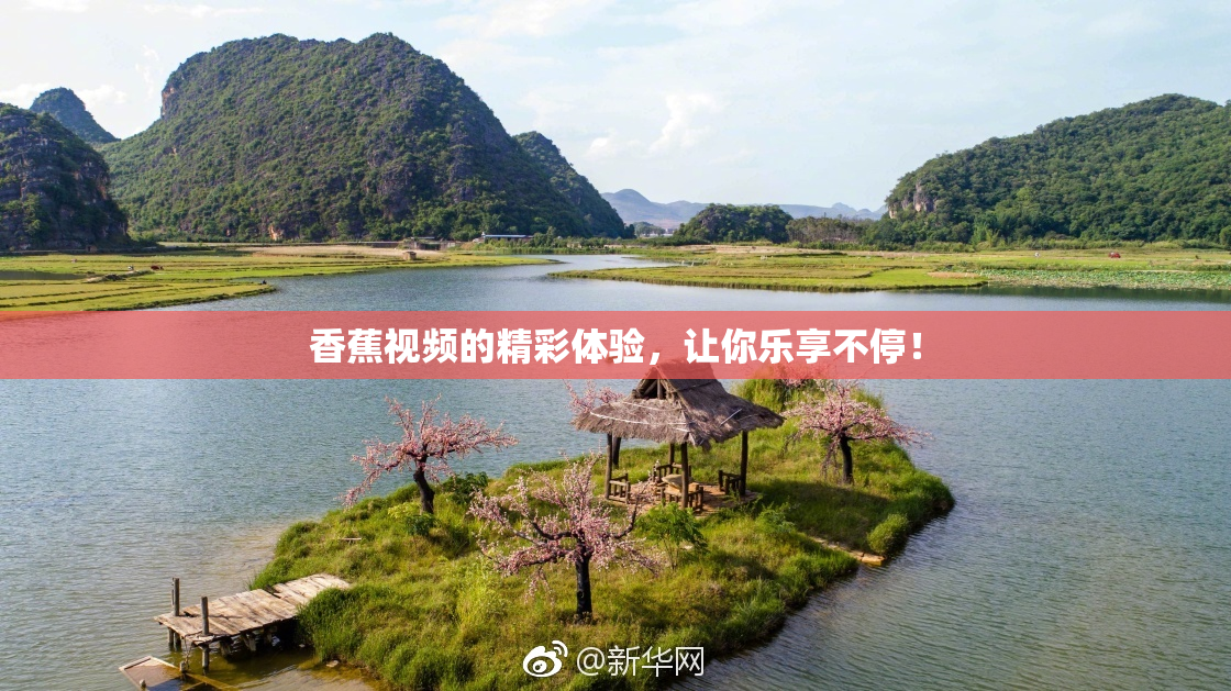 香蕉视频的精彩体验，让你乐享不停！