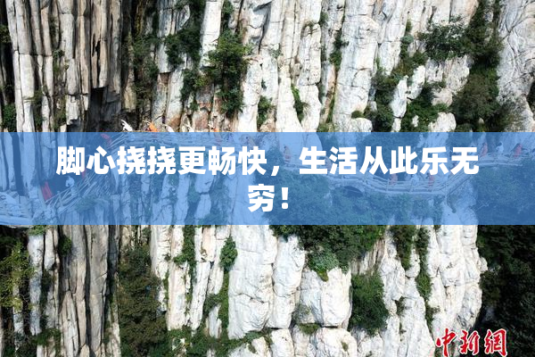 脚心挠挠更畅快，生活从此乐无穷！