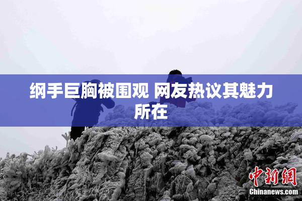纲手巨胸被围观 网友热议其魅力所在