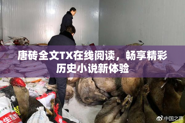 唐砖全文TX在线阅读，畅享精彩历史小说新体验