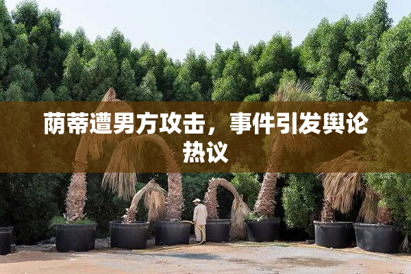 荫蒂遭男方攻击，事件引发舆论热议