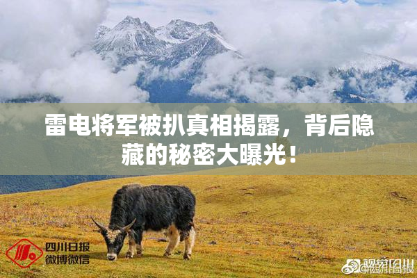 雷电将军被扒真相揭露，背后隐藏的秘密大曝光！