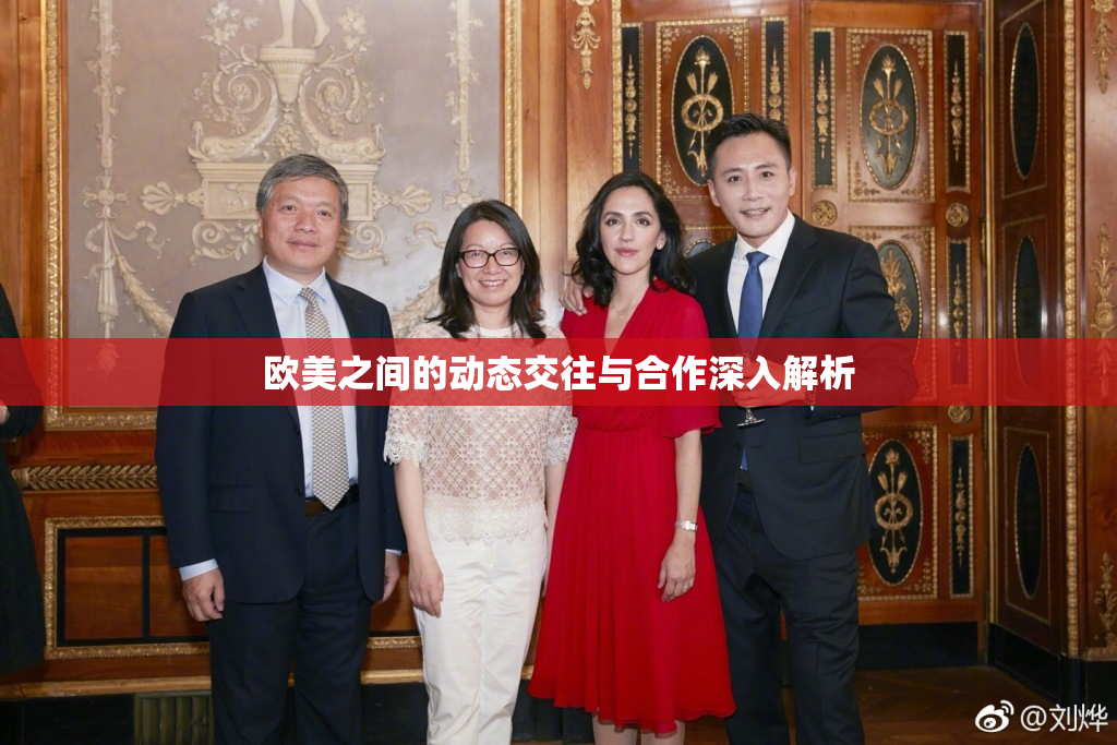 欧美之间的动态交往与合作深入解析
