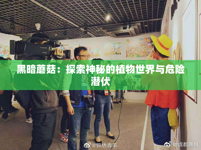 黑暗蘑菇：探索神秘的植物世界与危险潜伏