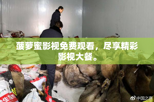 菠萝蜜影视免费观看，尽享精彩影视大餐。