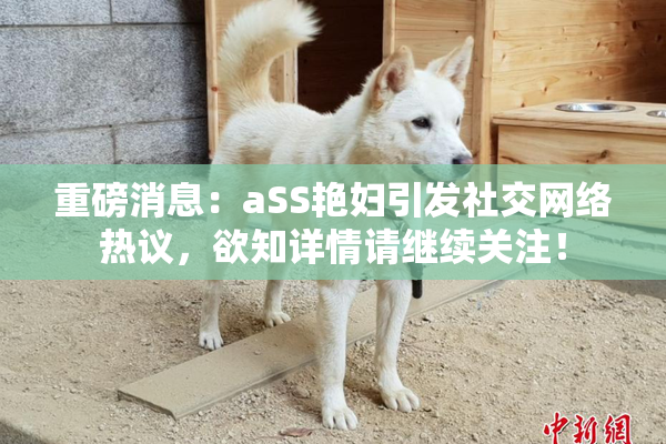 重磅消息：aSS艳妇引发社交网络热议，欲知详情请继续关注！