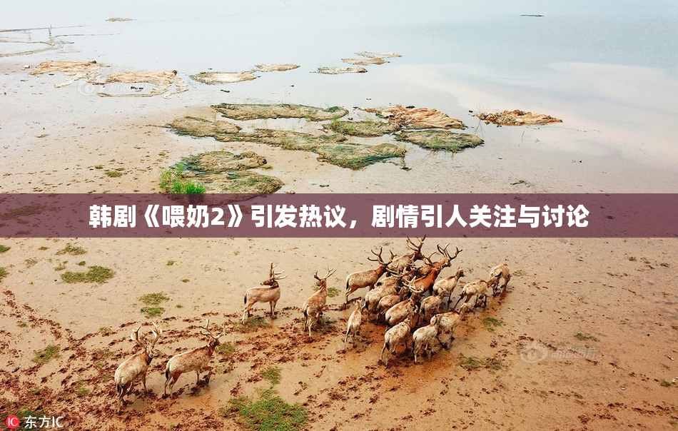 韩剧《喂奶2》引发热议，剧情引人关注与讨论