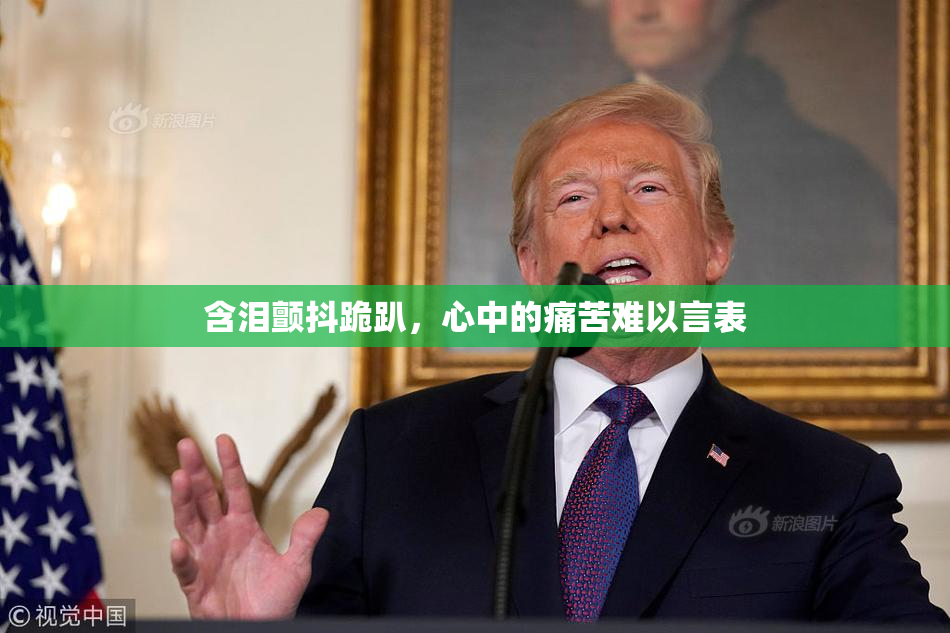 含泪颤抖跪趴，心中的痛苦难以言表