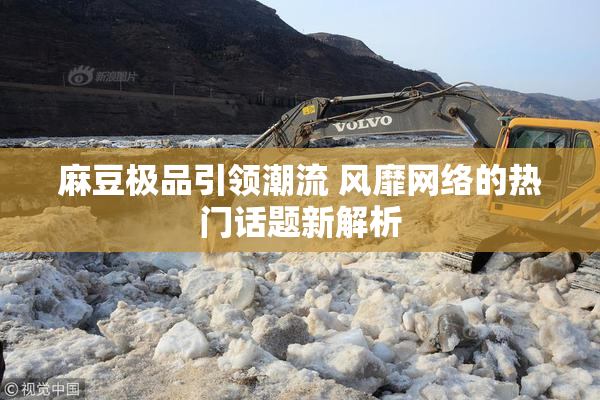 麻豆极品引领潮流 风靡网络的热门话题新解析