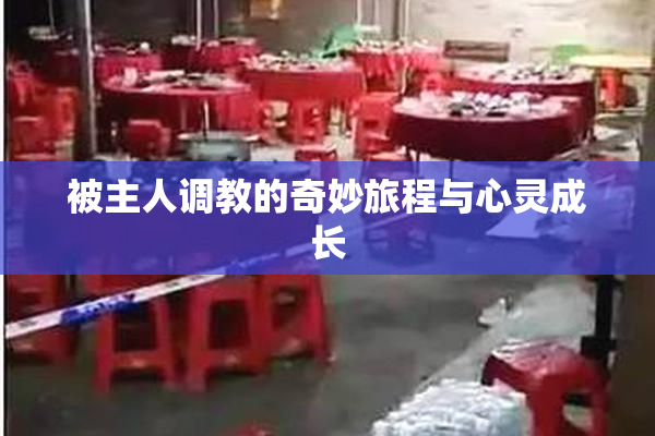 被主人调教的奇妙旅程与心灵成长