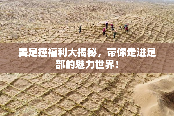 美足控福利大揭秘，带你走进足部的魅力世界！