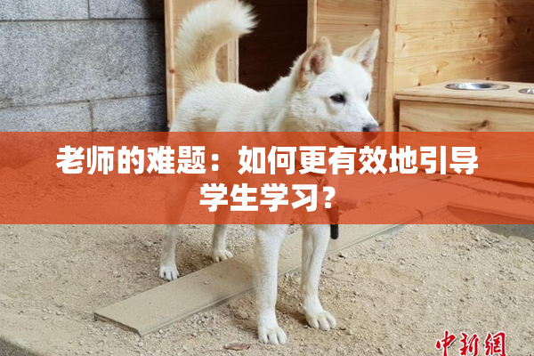 老师的难题：如何更有效地引导学生学习？