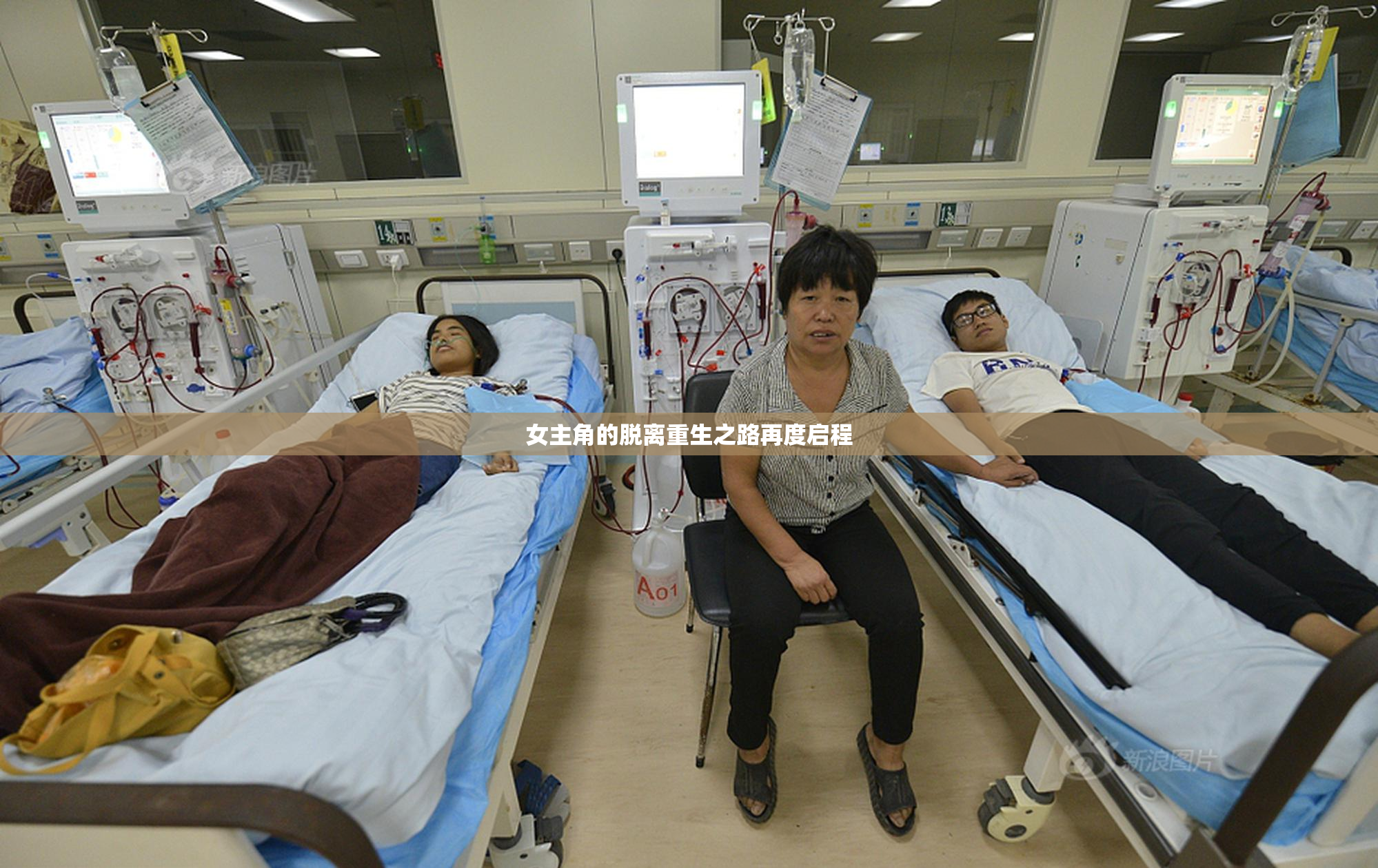 女主角的脱离重生之路再度启程