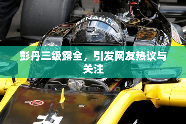 彭丹三级露全，引发网友热议与关注