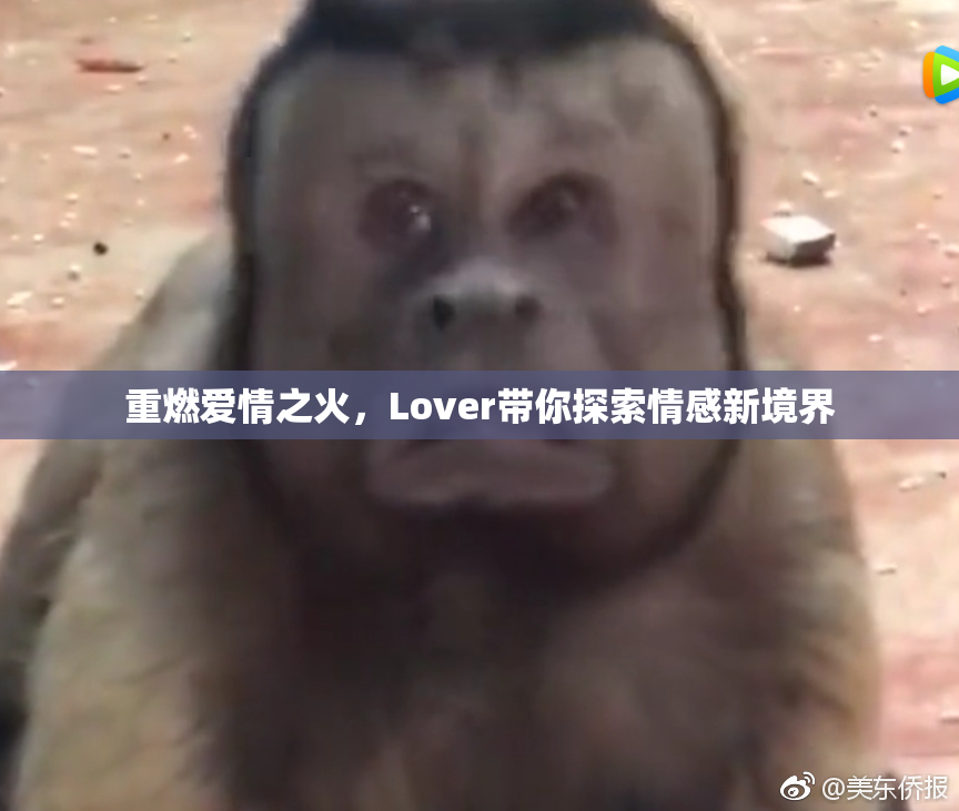 重燃爱情之火，Lover带你探索情感新境界