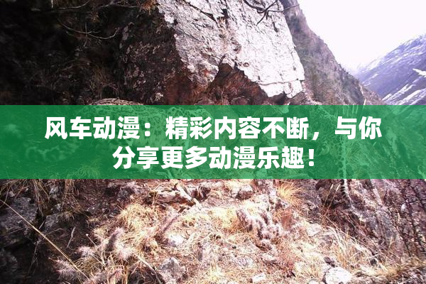 风车动漫：精彩内容不断，与你分享更多动漫乐趣！